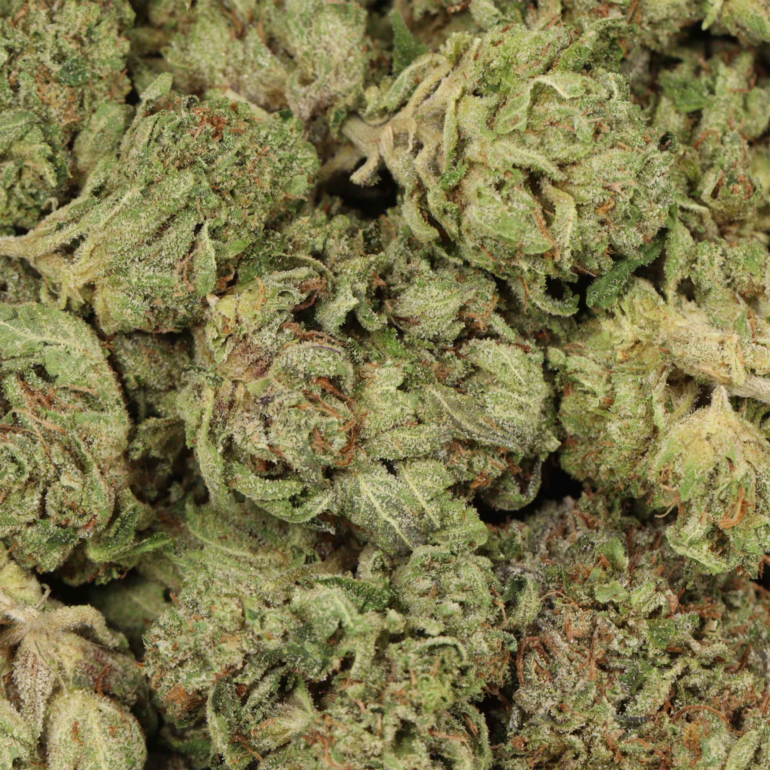 Pink Kush - Image 3
