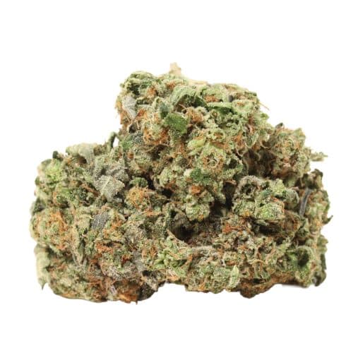 Pink Pussy craft strain cannabis