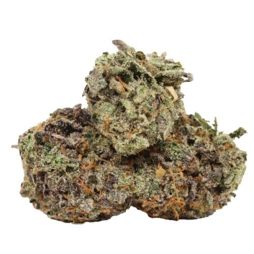 Platinum Death Bubba craft strain cannabis