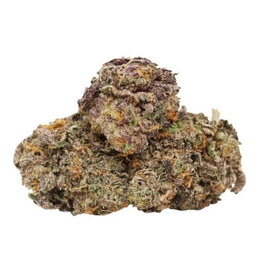 Purple Queen craft strain cannabis