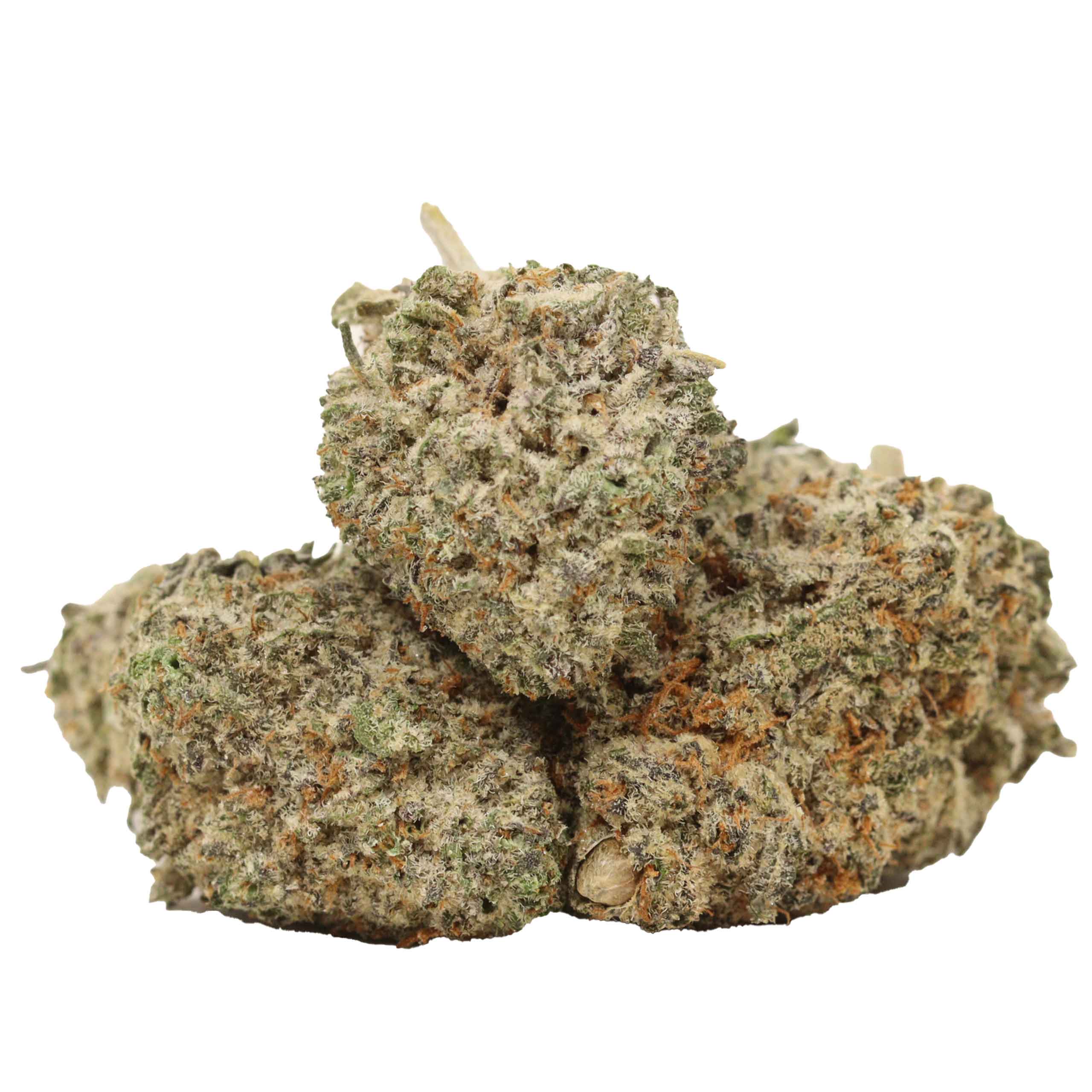 Purple Trainwreck strain cannabis