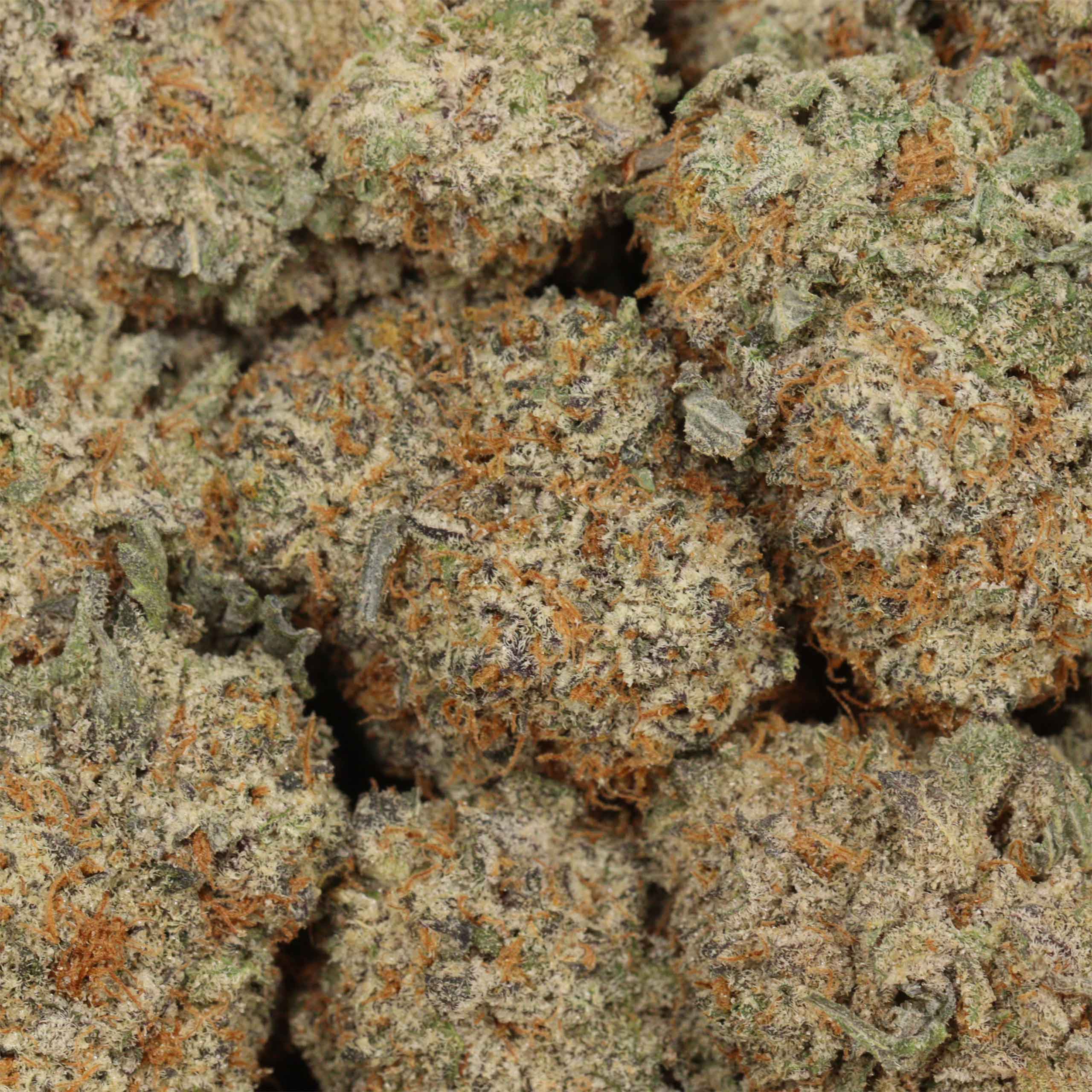 Purple Trainwreck - Image 3