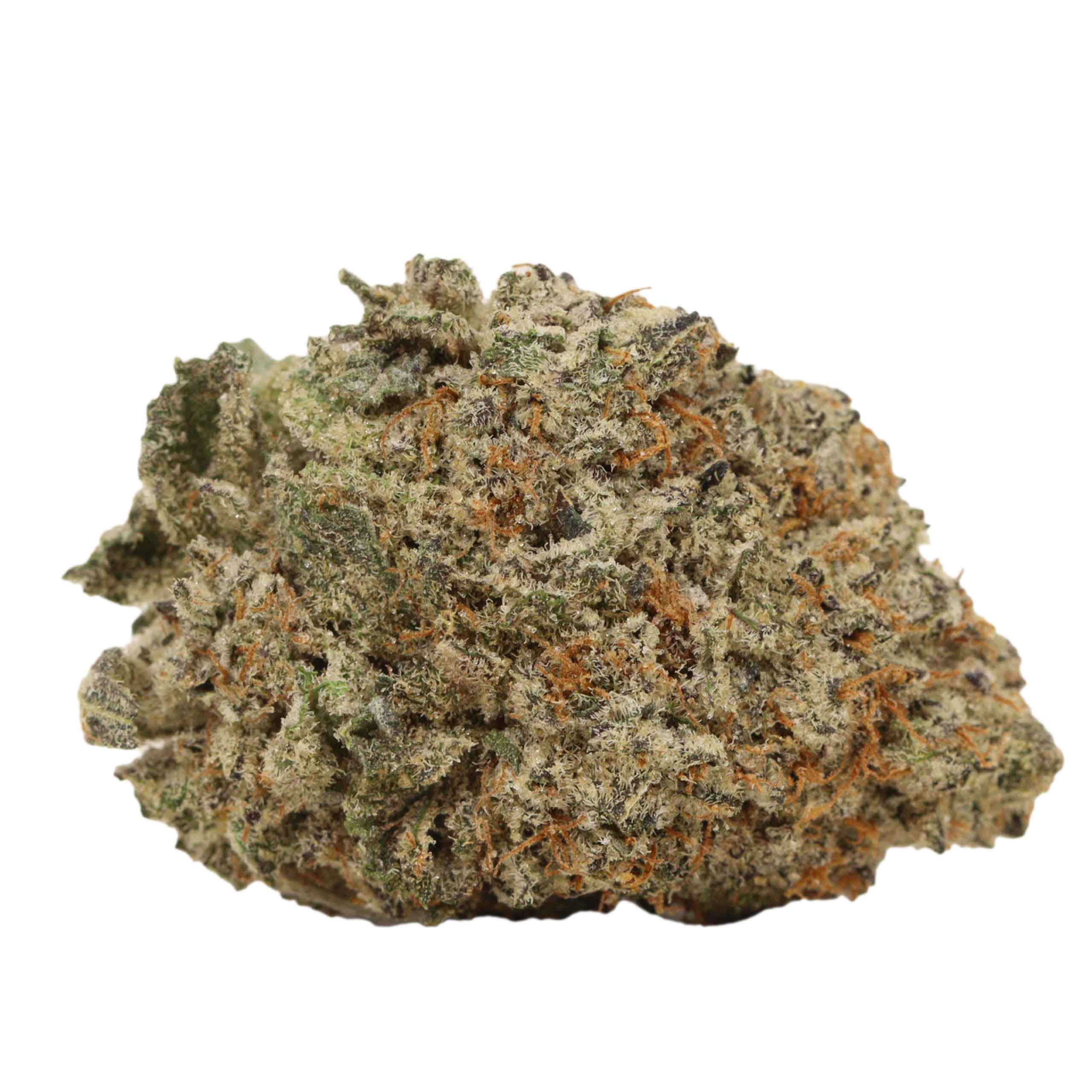 Purple Trainwreck weed cannabis