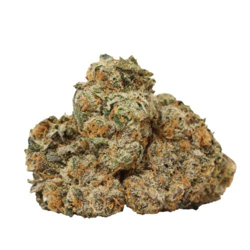 Raspberry Swirl strain cannabis