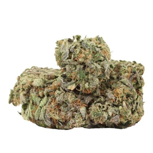 Rose pink no 6 craft strain cannabis