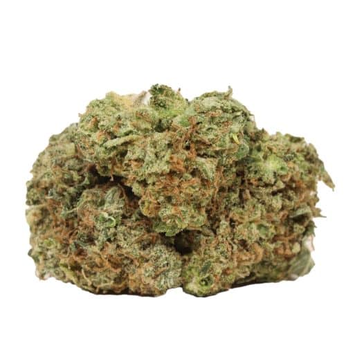 Sour Diesel strain cannabis