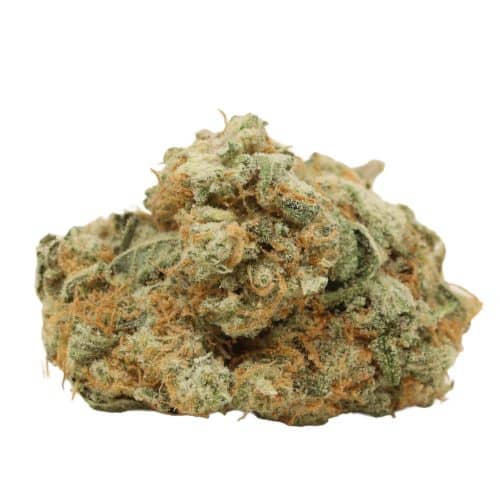 Starbud strain cannabsi