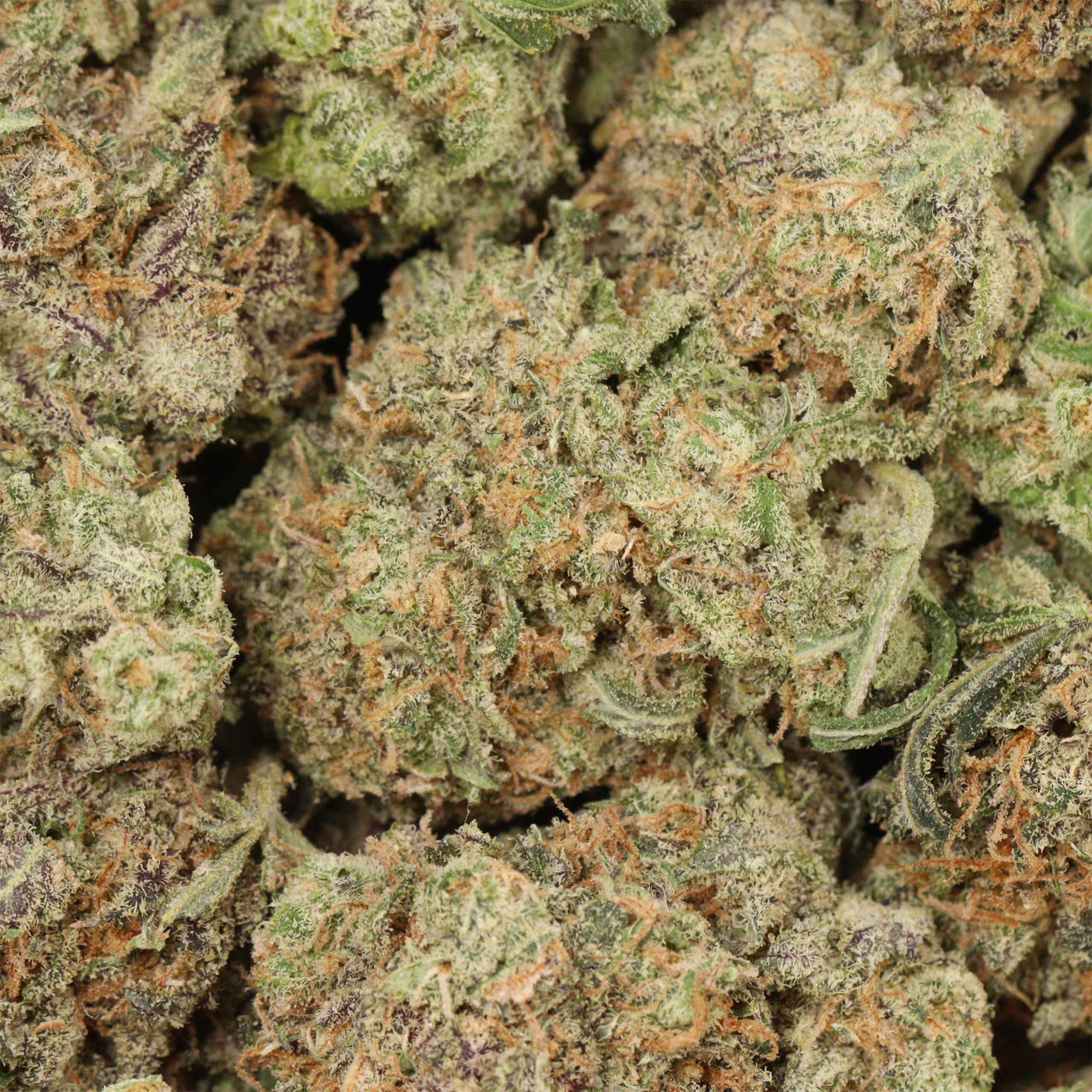 Sunset Sherbert - Image 3