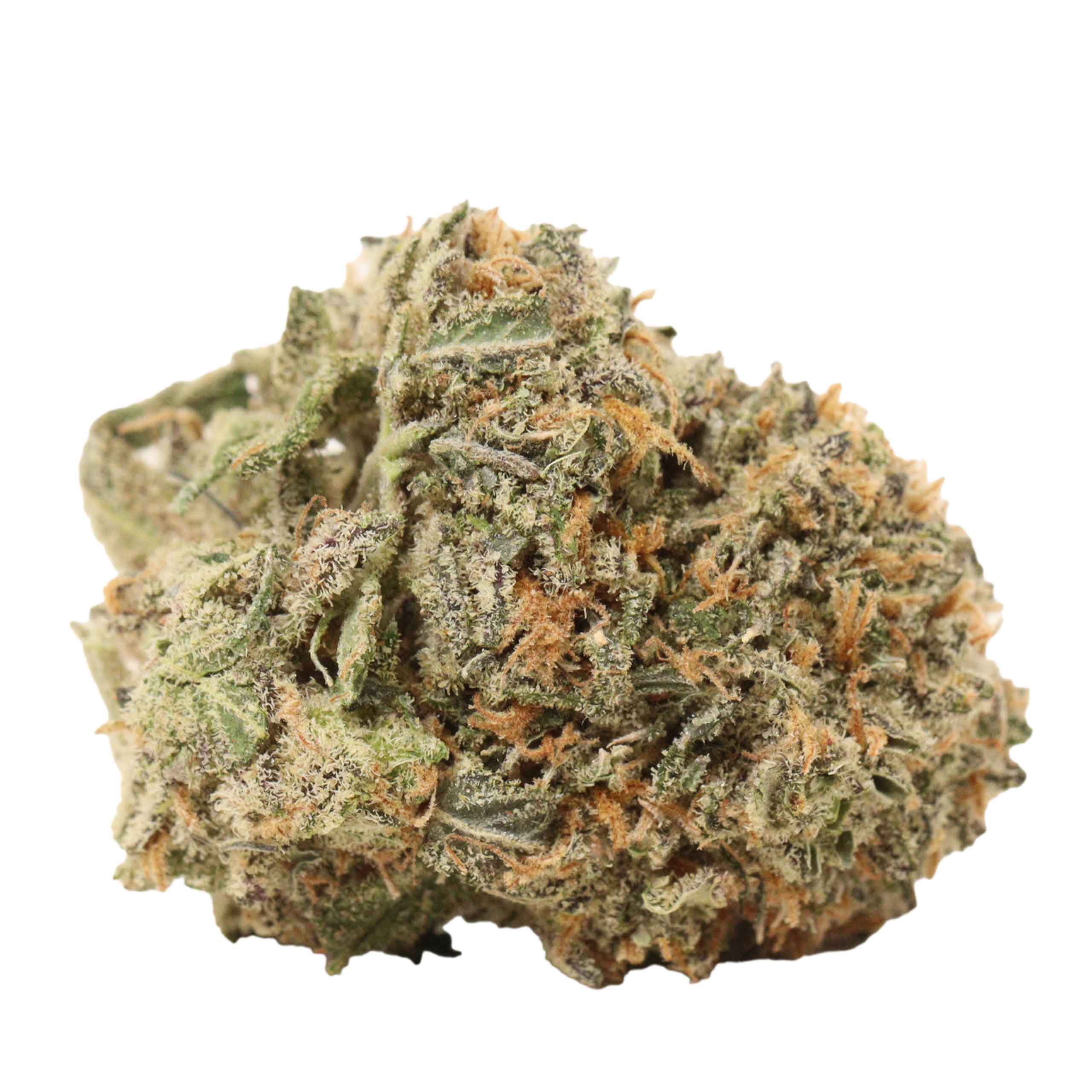 Sunset Sherbert - Image 2