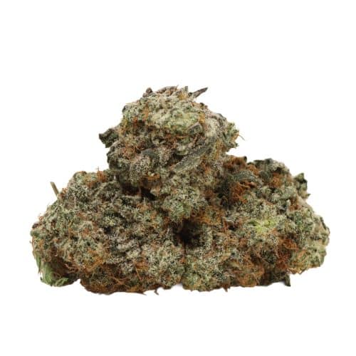 Super Lemon MAC strain cannabis