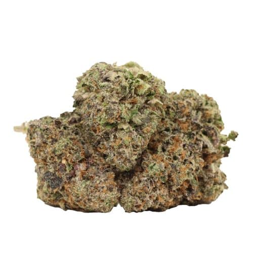 The Ooze craft strain cannabis