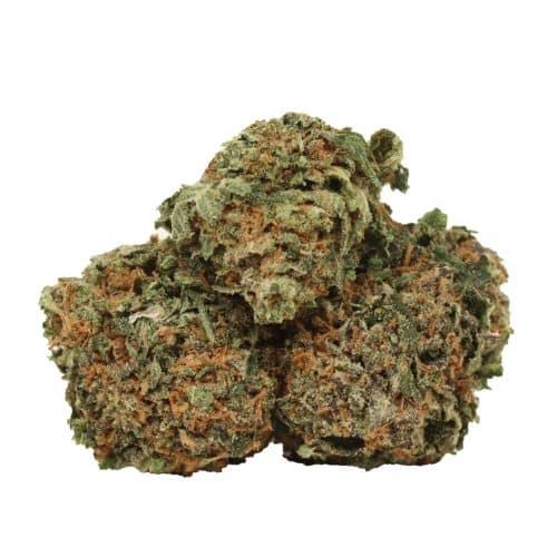 Tom Ford Pink Kush strain cannabis