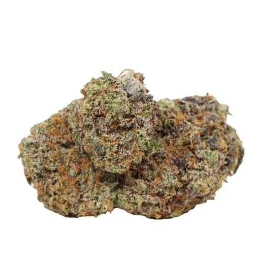 Trunk Funks craft strain cannabis