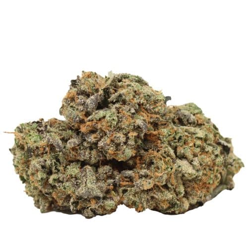 Tuna Kush craft strain cannabis