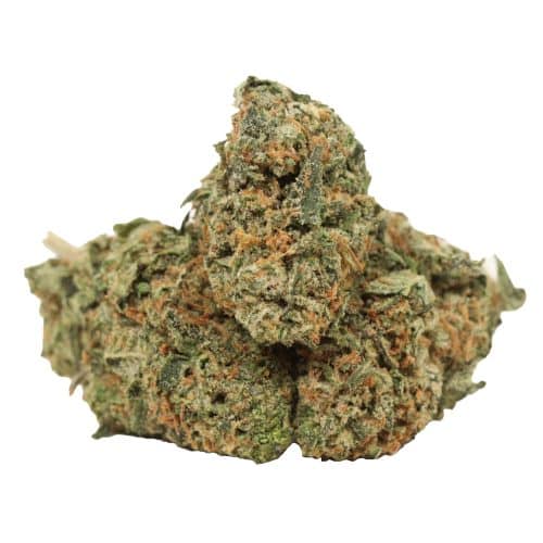 Ultra Pink strain cannabis