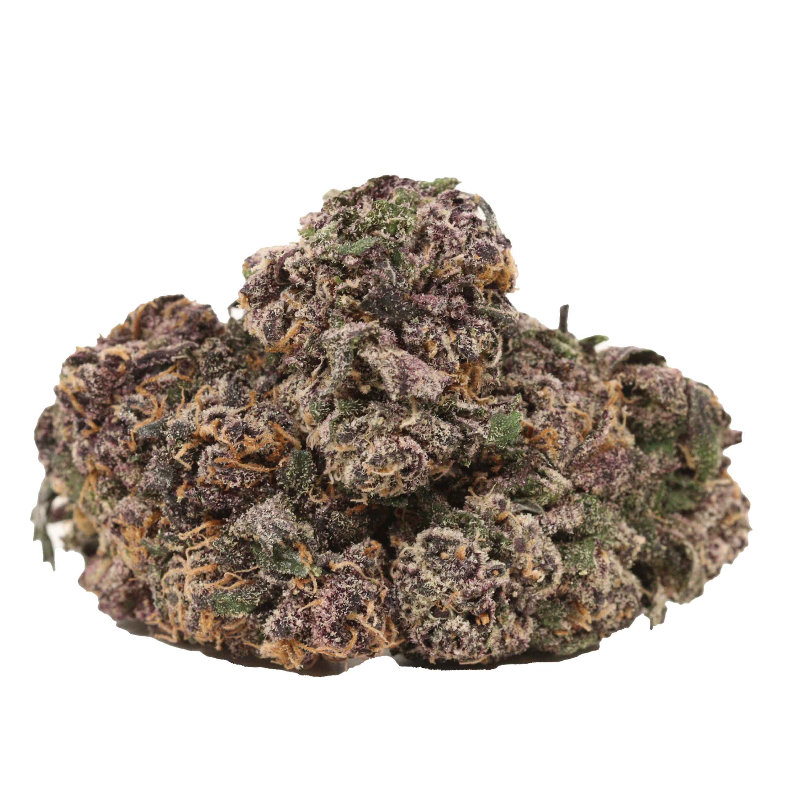 violator cheesecake strain cannabis