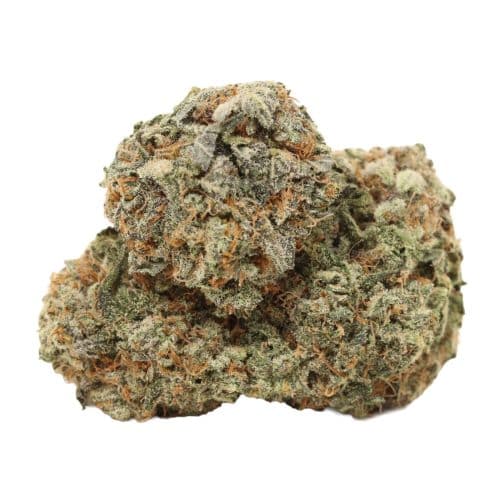 Violator Kush strain cannabis