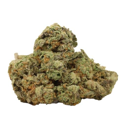 White Widow strain cannabis
