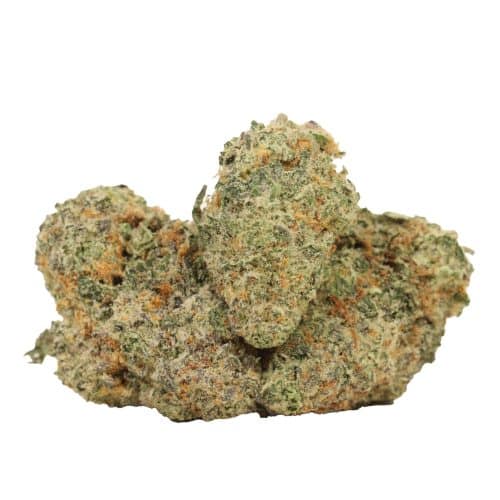 White Widow strain cannabis