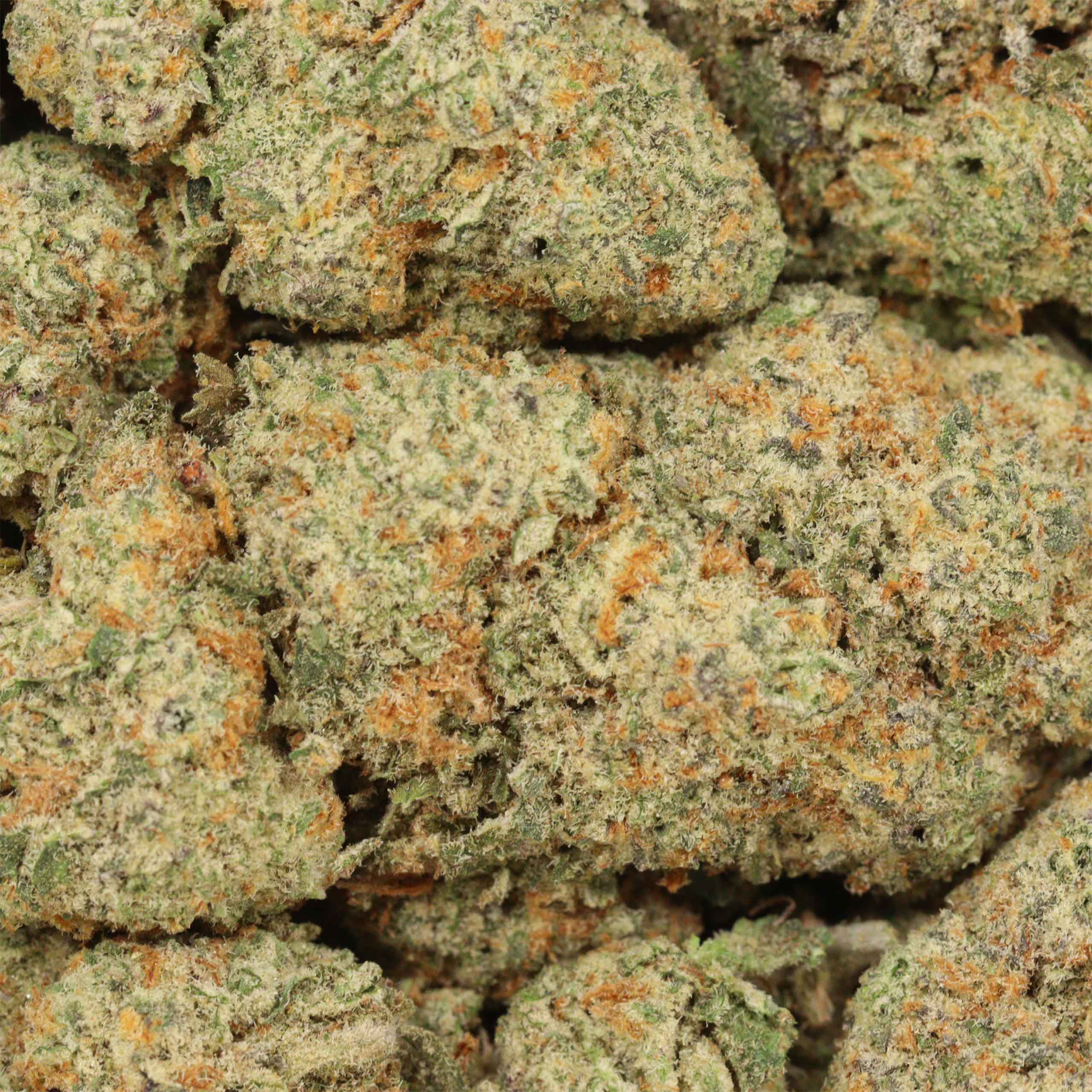 White Widow - Image 3