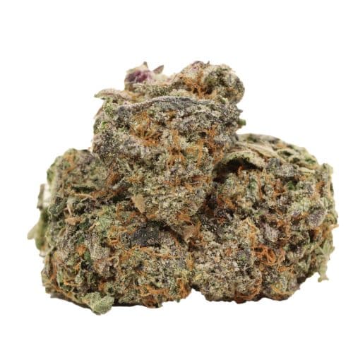Cartel Kush strain cannabis