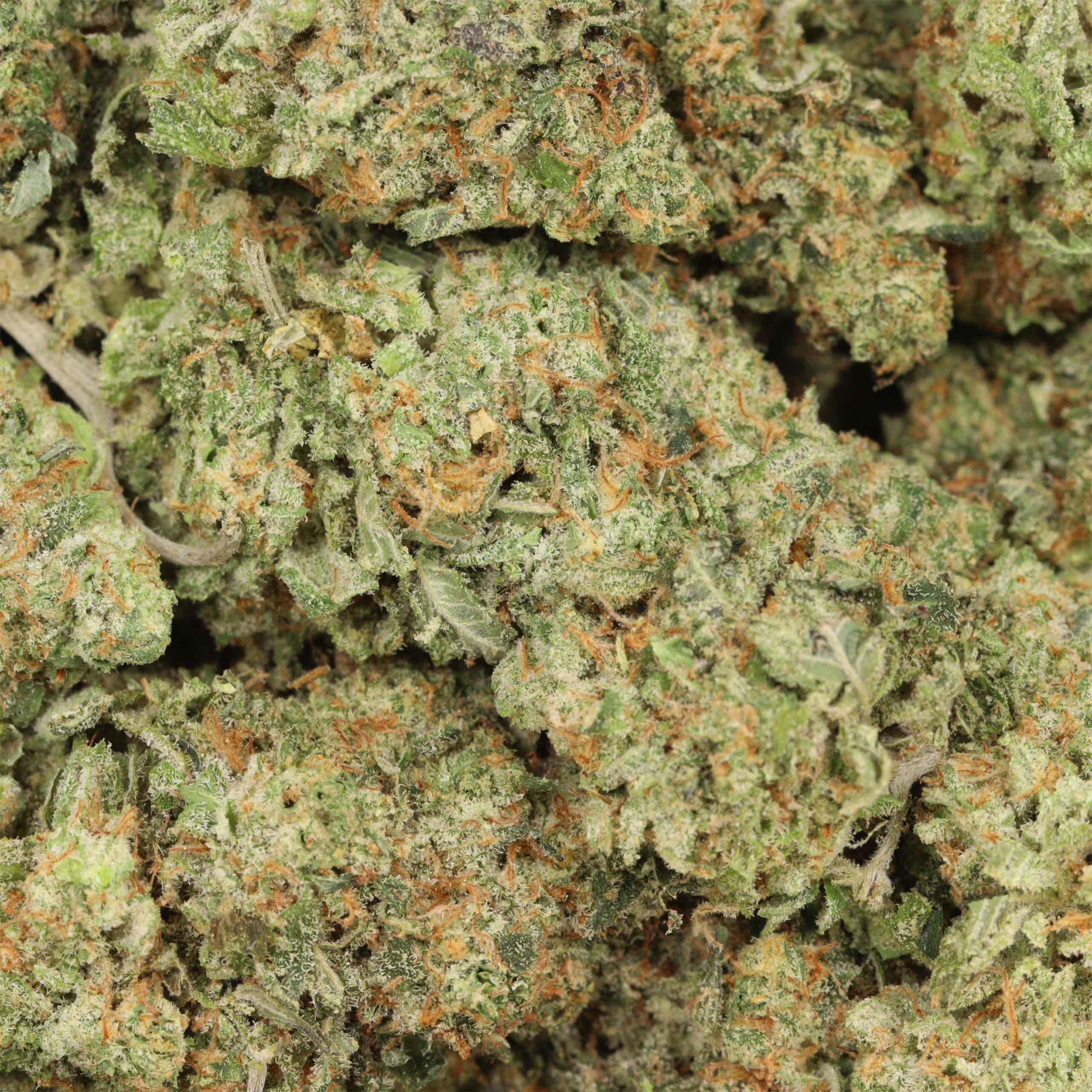 Galactic Punch - Image 3