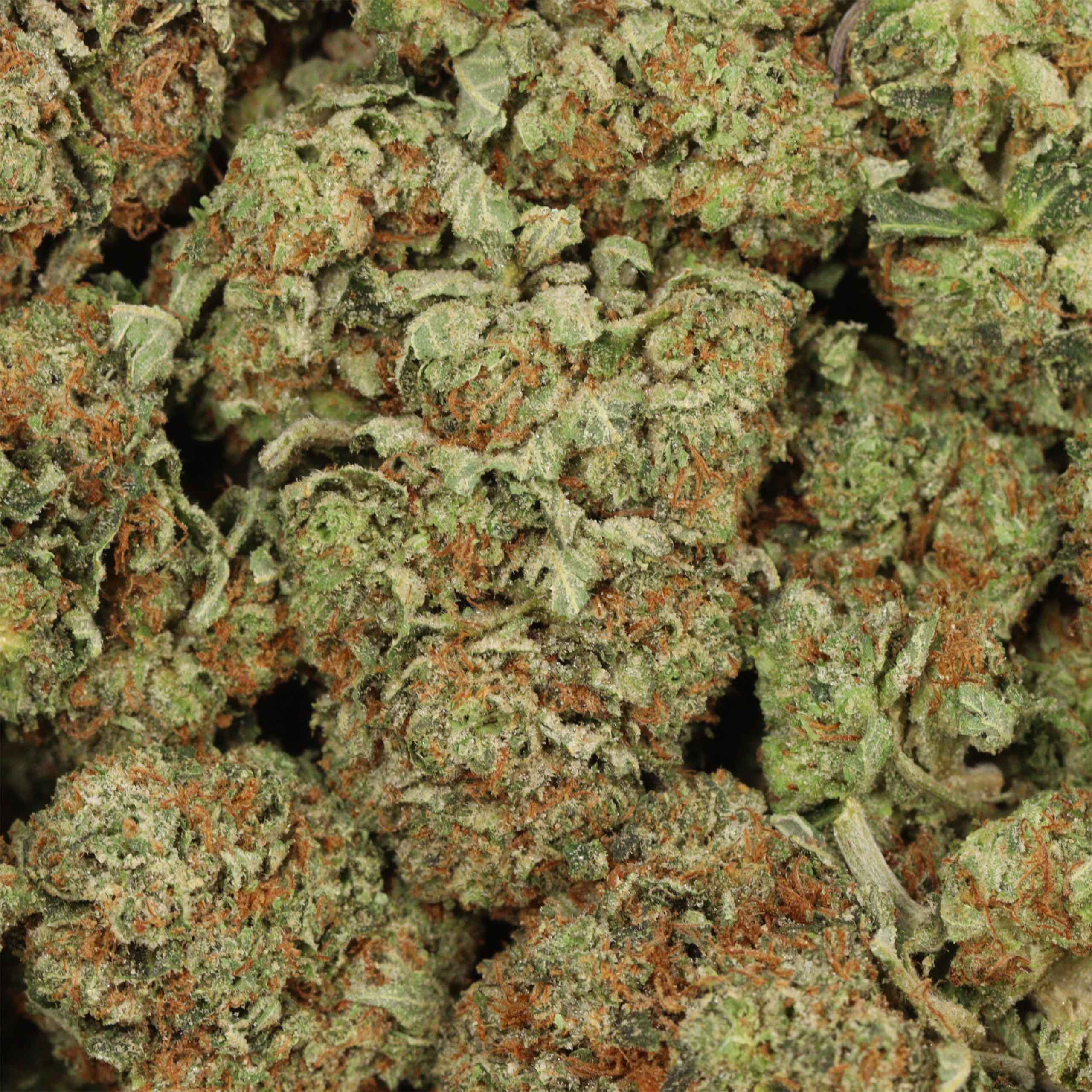 Tom Ford Death Bubba - Image 3