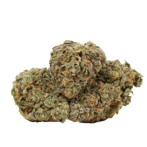 Four Star General strain cannabis