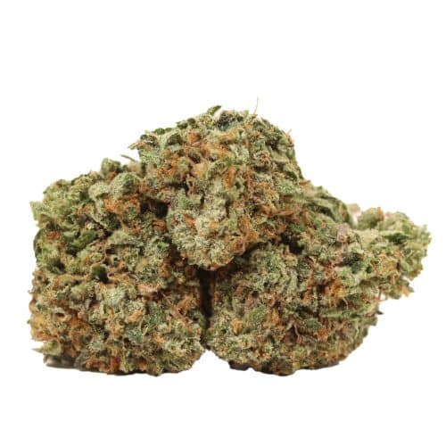Ace Killer OG strain cannabis