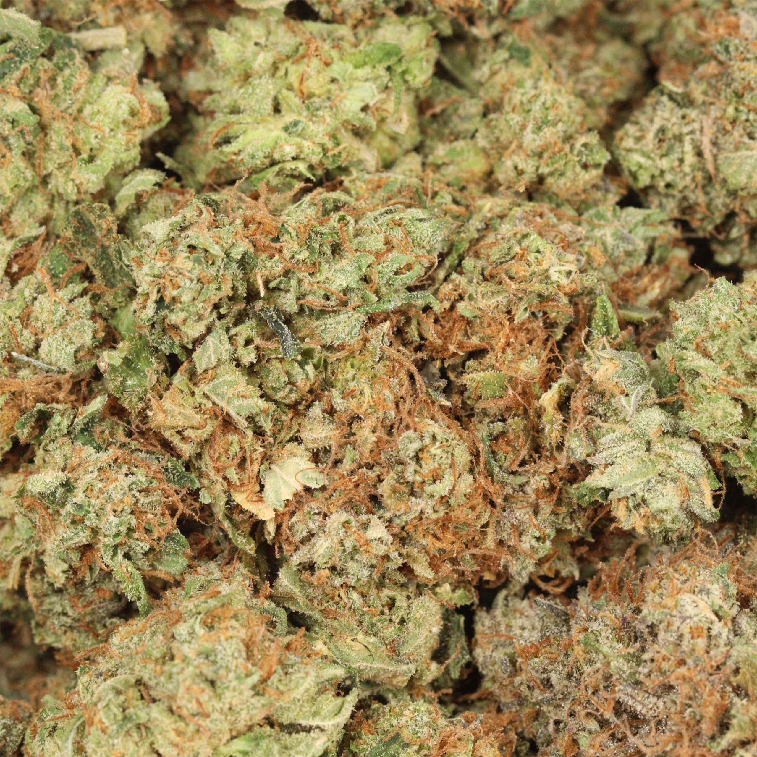 Ace Killer OG - Image 3