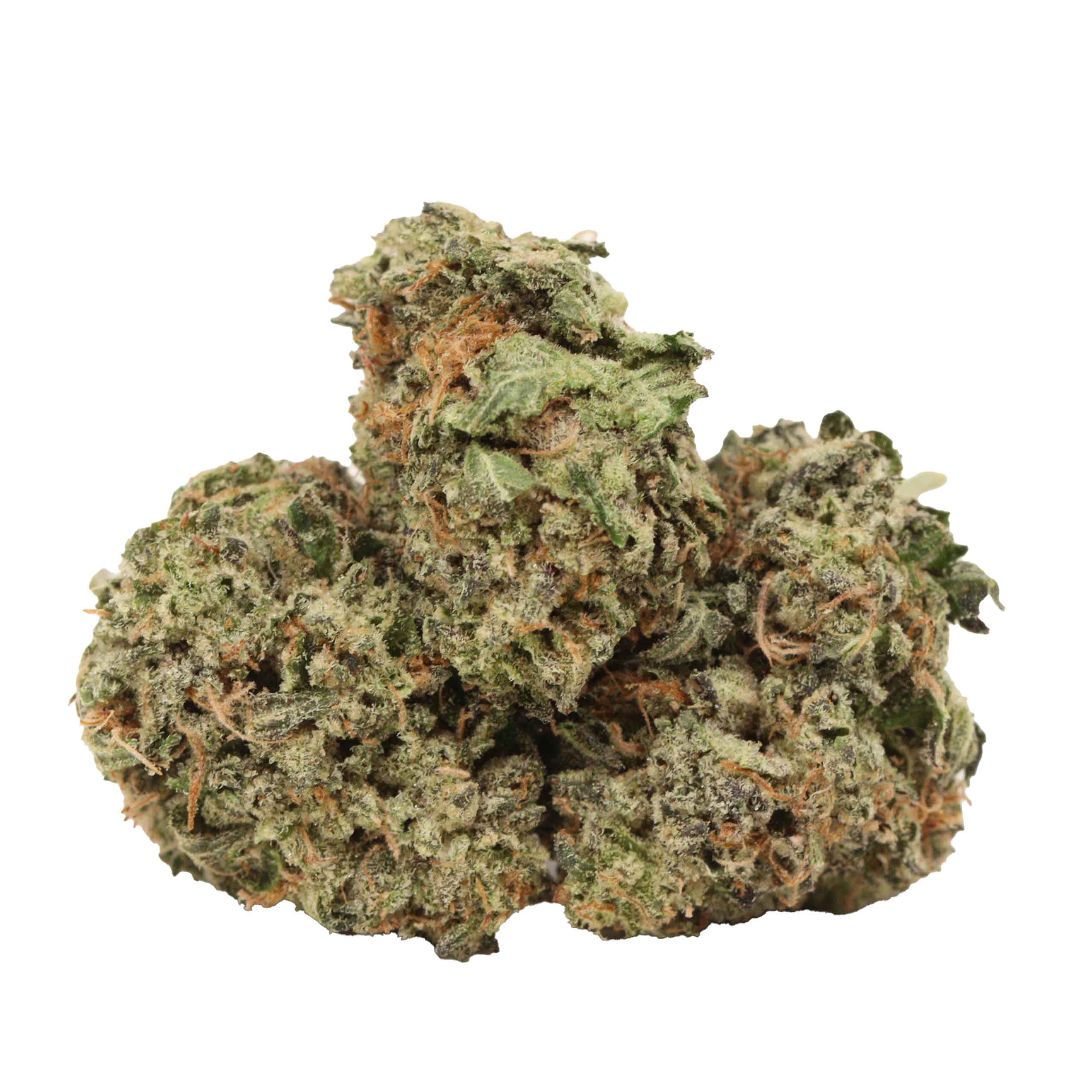 Afghani Pink strain cannabis