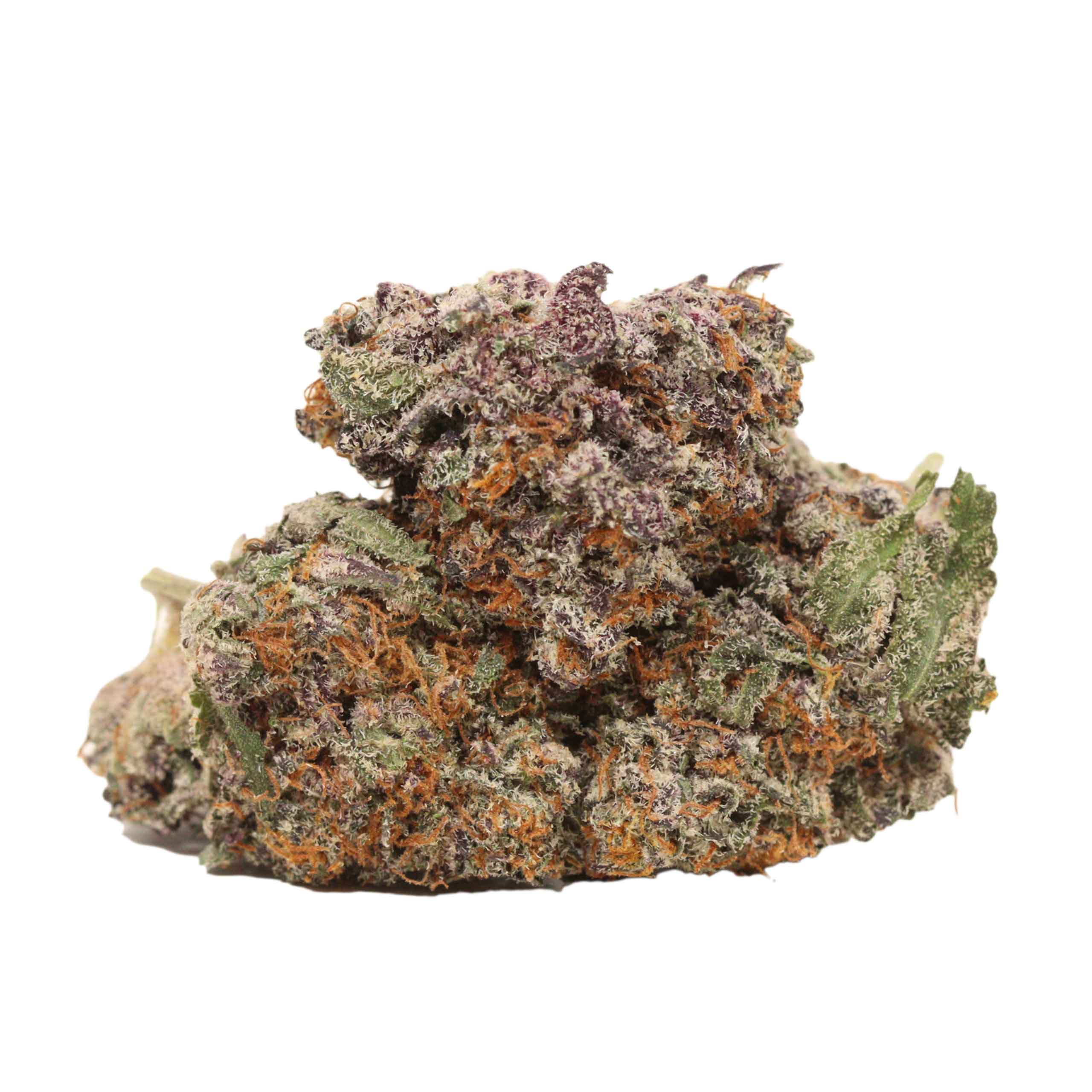 Afghani Kush strain cannabis