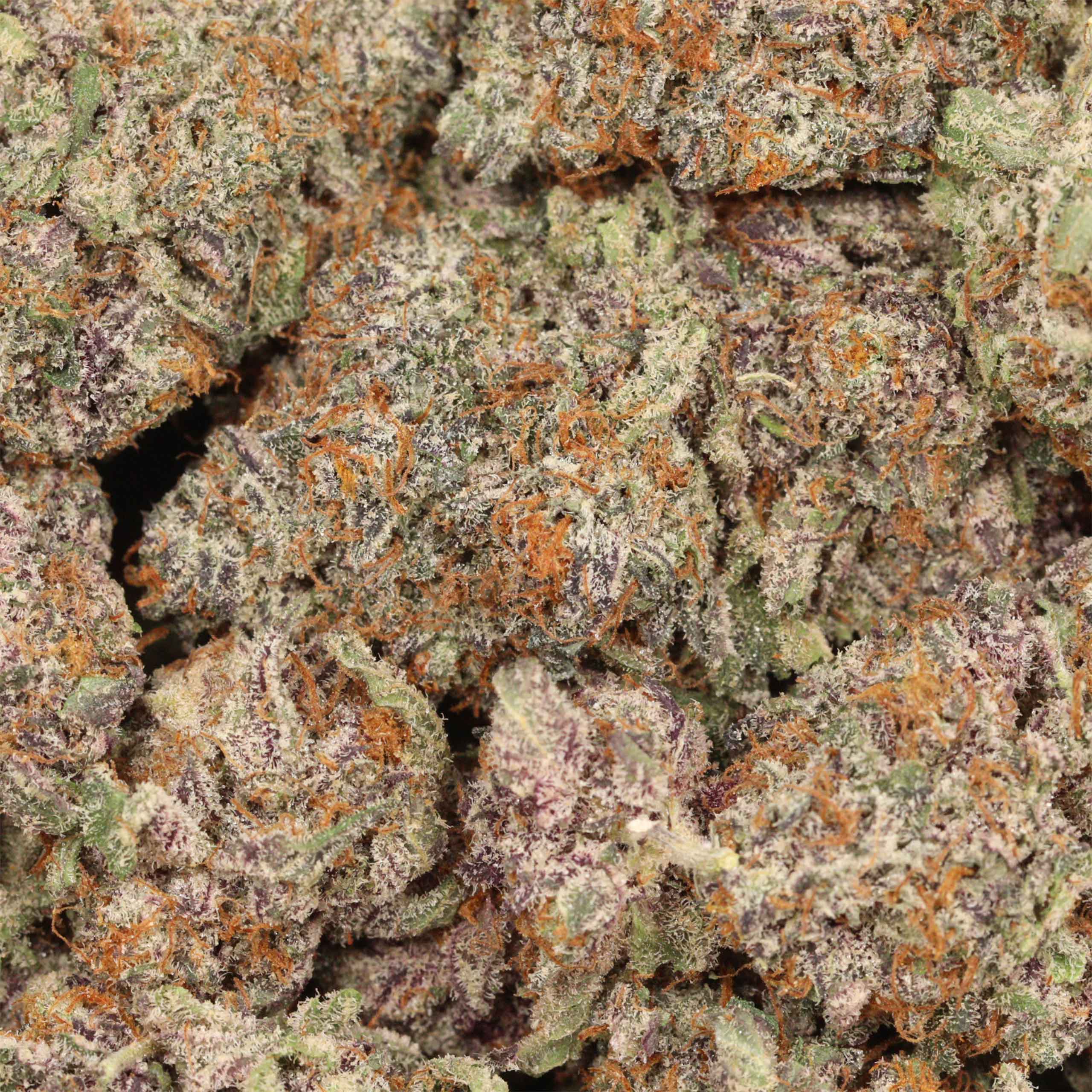 Afghani Kush - Image 3