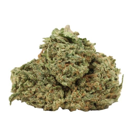 Alaskan Thunder Fuck strain cannabis