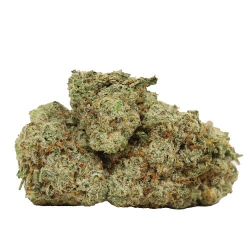 Alien Cookies strain cannabis
