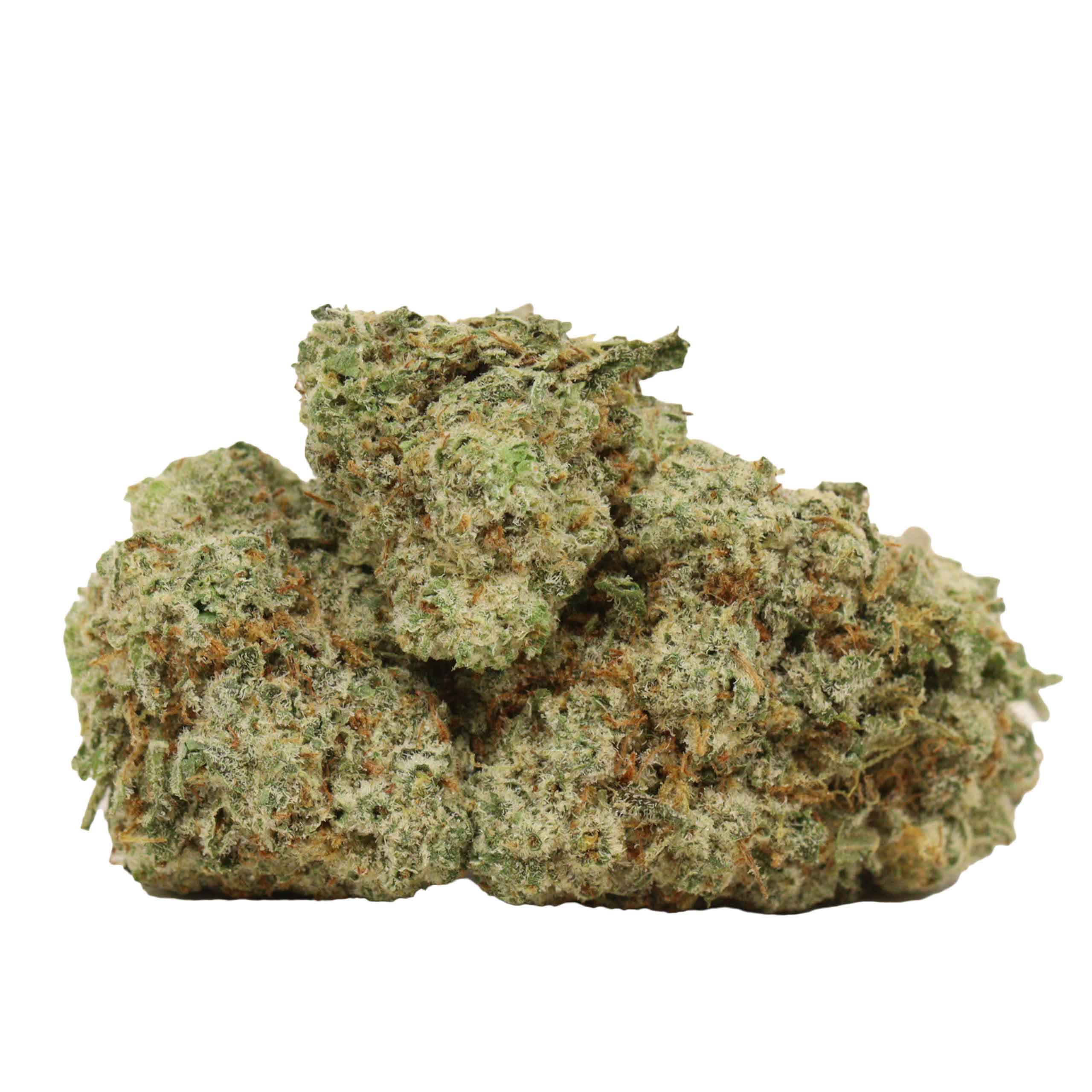 Alien Cookies strain cannabis