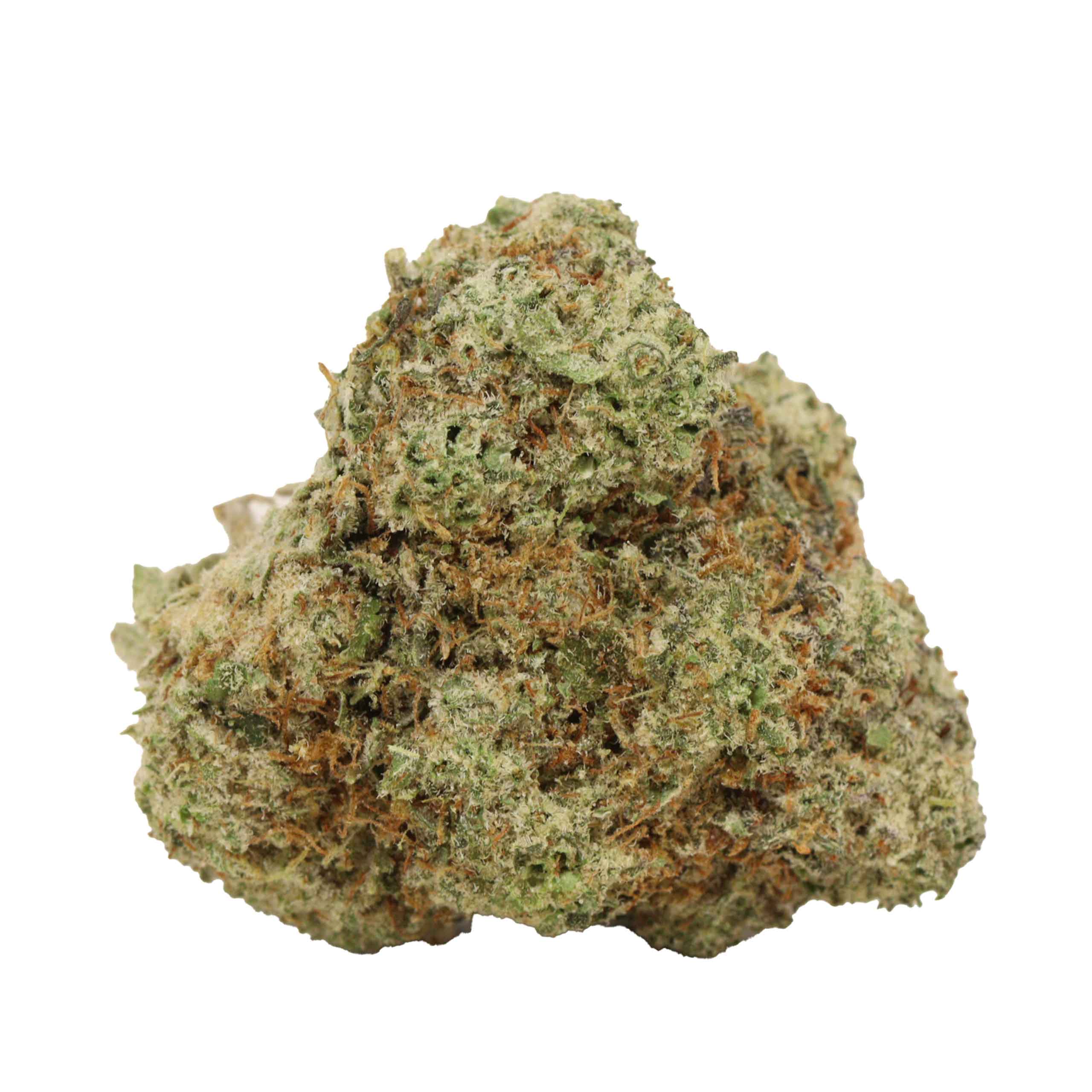 Alien Cookies - Image 2