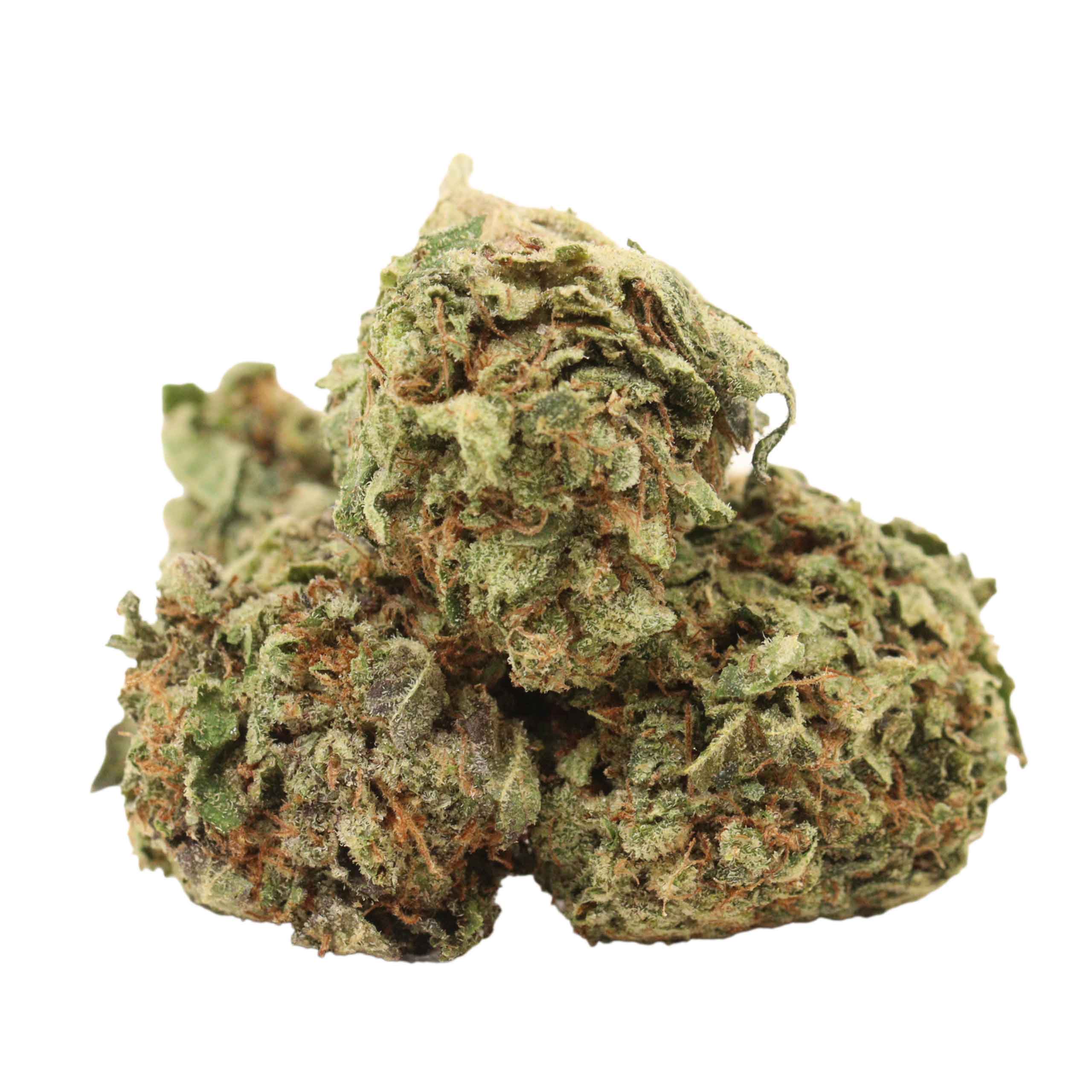 Astro Pink Kush strain cannabis