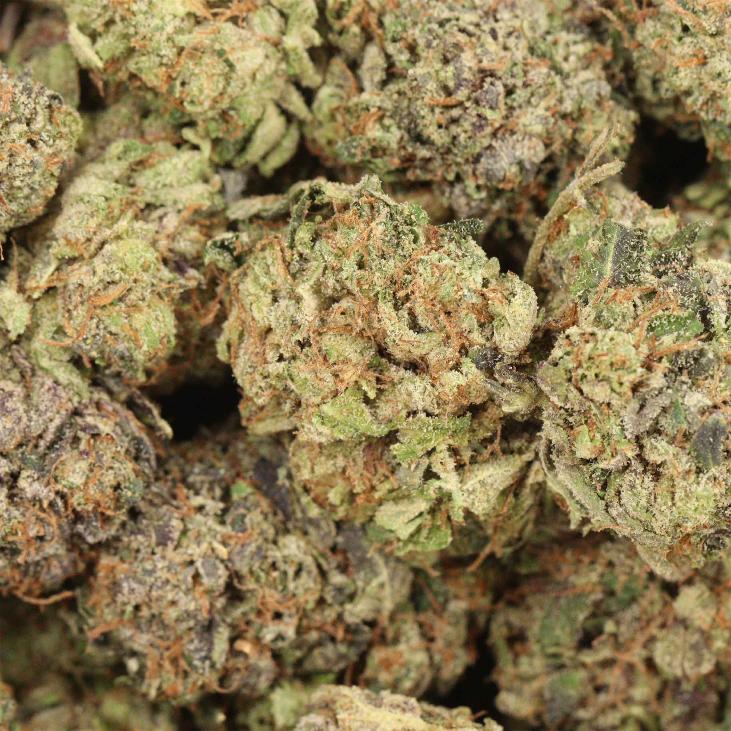 Astro Pink Kush - Image 3