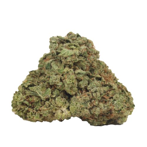 Atomic Blueberry strain cannabis