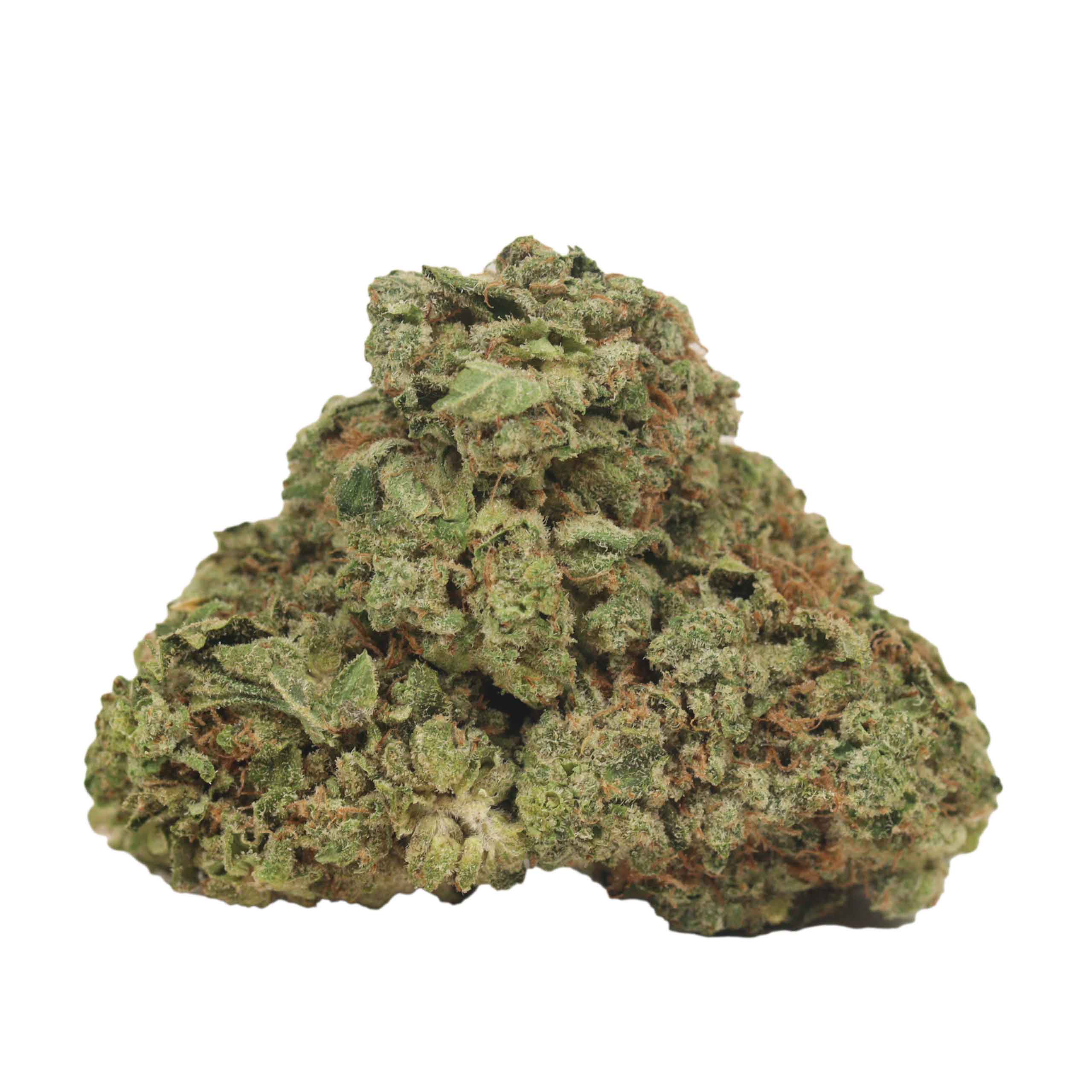 Atomic Blueberry strain cannabis
