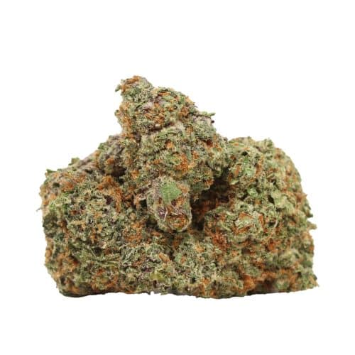 Atomic Blueberry strain cannabis