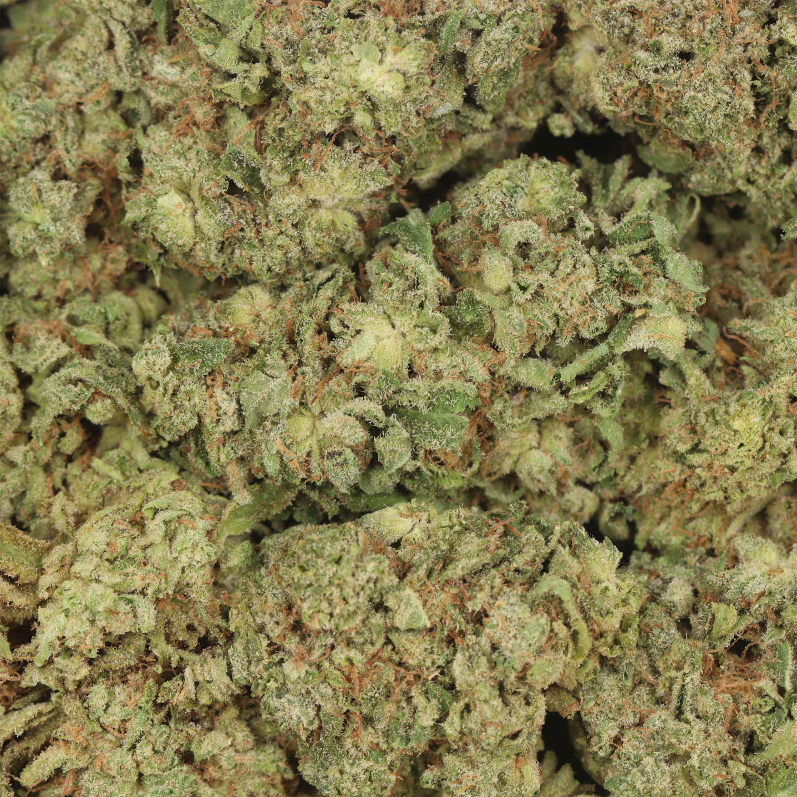 Atomic Blueberry - Image 3