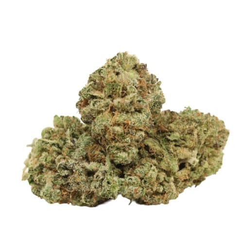 Atomic Bomb strain cannabis