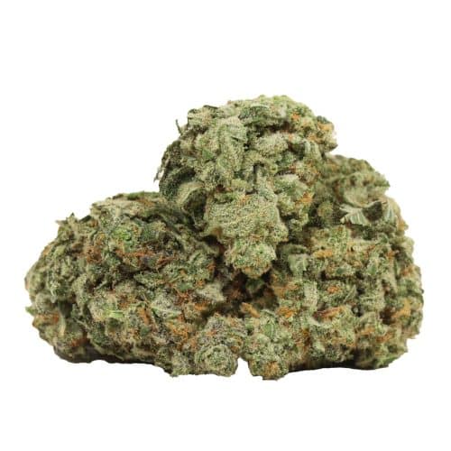Atomic Blueberry strain cannabis