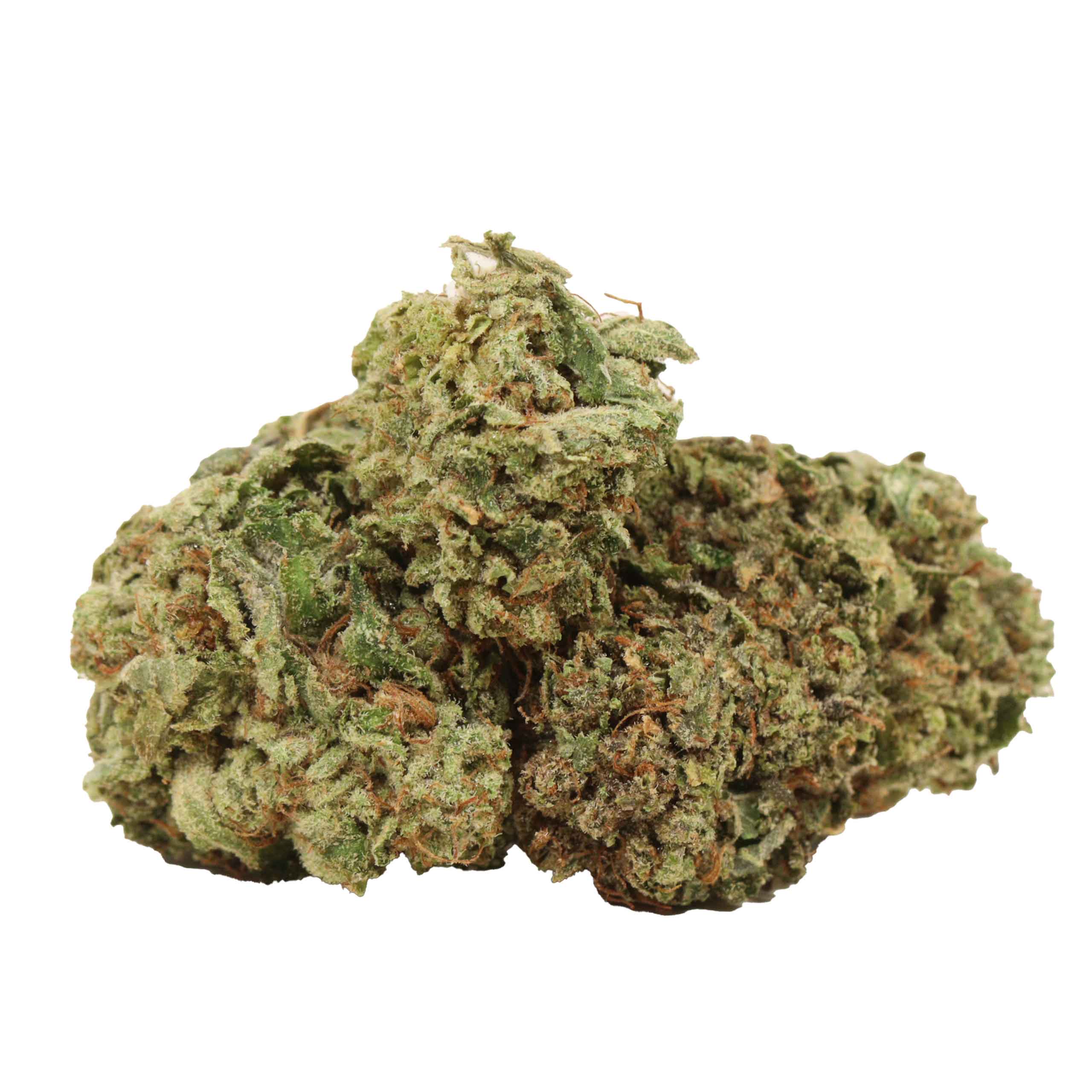 BC Pink Kush strain cannabis
