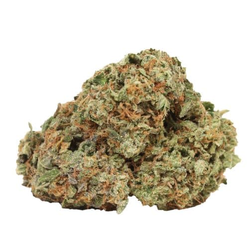 BC Pink Kush strain cannabis