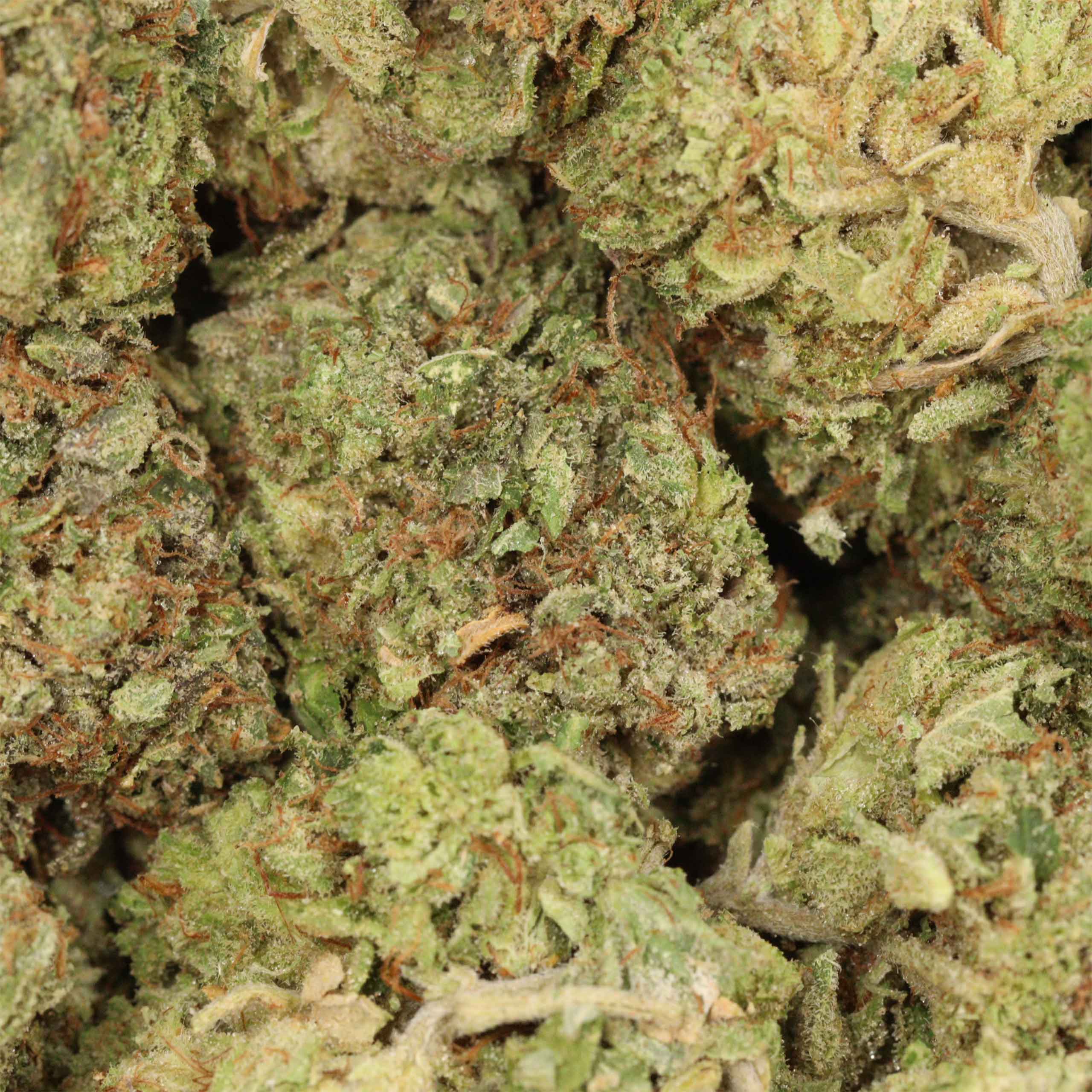 BC Pink Kush - Image 3