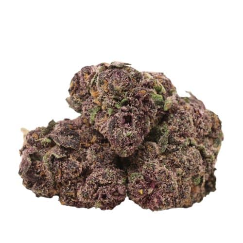 Black Cherry Soda strain cannabis