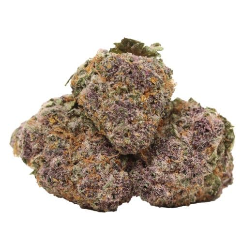 Black Cherry Soda strain cannabis